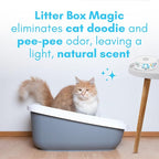 Cat Litter Deodorizer Jar - Image 2