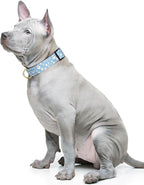 Reflective Dog Collar for Medium Dogs, Cute Daisy Theme Adjustable Heavy-Duty - Image 2