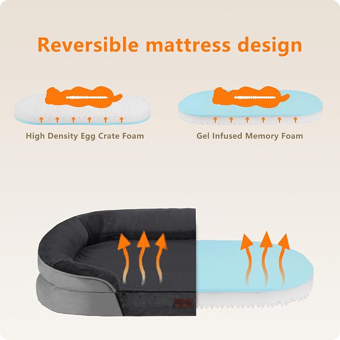 Dwanton Orthopedic Dog Bed for Medium Dogs - Image 3