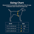 Ruffwear, Hitch Hiker Dog Backpack Carrier, Hands-Free Dog Carrier Backpack - Image 2