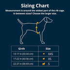 Ruffwear, Hitch Hiker Dog Backpack Carrier, Hands-Free Dog Carrier Backpack - Image 2