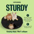 Cattasaurus Peekaboo Cat Cave Donut - Image 3