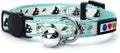 Pawtitas Glow in The Dark Cat Collar by Pawtitas
