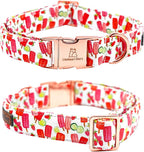 Lionheart glory Dog Collar, Dog Collar - Image 5