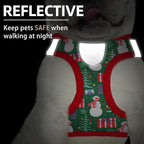 PUPTECK Adjustable Dog Harness Collar and Leash Set Step in No Pull Pet Harness - Image 5