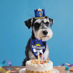 ADOGGYGO Dog Birthday Hat Bandana - Image 2