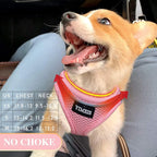 YIMEIS Dog Harness and Leash Set, No Pull Soft Mesh Pet Harness, Reflective - Image 2