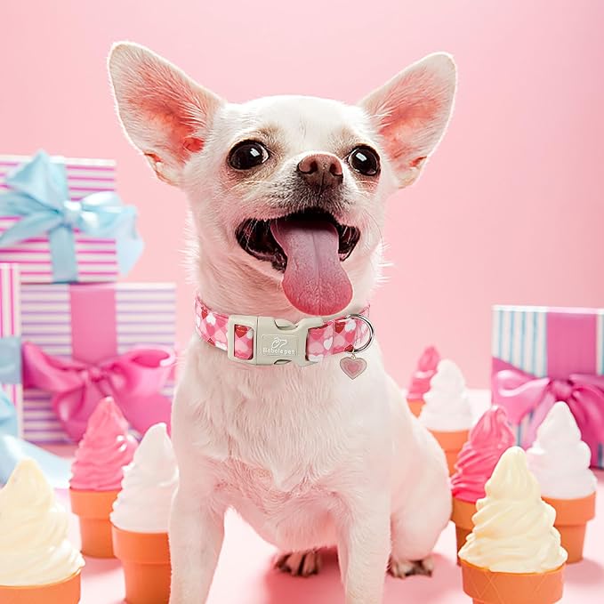 Valentines Dog Collar for Small Dogs - Image 3