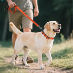 Joytale Reflective Dog Collar, Soft Neoprene Padded Breathable Nylon Pet Collar - Image 6