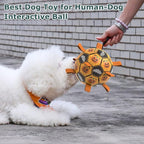 QDAN Halloween Dog Toys, Soccer Balls, Interactive Pet Toys, Puppy Dogs - Image 7