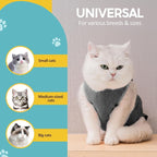 Avont Cat Recovery Suit - Image 5