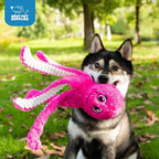 Best Pet Supplies Interactive Squeaky Dog Chew Toy, Ideal Dog Toys - Image 5