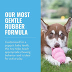 KONG - Puppy Toy Natural Teething Rubber - Fun to Chew, Chase and Fetch - - Image 3