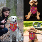 Dog Birthday Party Supplies Dog Birthday Girl Bandanas Party Pet Supplies - Image 3