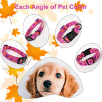 Halloween Dog Collar, Cute Pumpkin Bat Pattern Halloween Purple Puppy Collar - Image 5