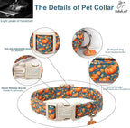 Fall Dog Collar Cute Autumn Pumpkin Puppy Collar - Image 3