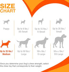 Nylabone Original Bone Power Chew Toy - Image 5