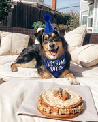 Dog Birthday Party Supplies, Pet Birthday Hat and Boy Doggy Birthday Bandana Set - Image 4