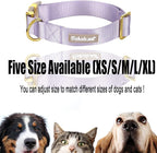 Nylon Dog Collar - Image 8