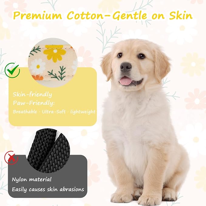 Dog Collar for Extra Small Dogs, Spring &Summer Theme Orange Small Dog Collars - Image 4