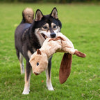 Best Pet Supplies Squeaky Dog Toys - Image 9