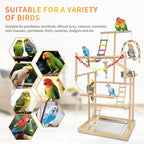Bird Playground, Playstand for Parrot Cage Accessories - Image 4