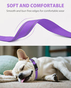 Joytale Small Dog Collar, Reflective and Adjustable Nylon Collar - Image 3