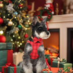 Beirui Cute Small Dog Harness Collar and Leash Set - Image 3