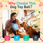 QDAN Dog Birthday Toys, Soccer Ball - Image 5