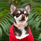 Unique style paws Dog Collar Metal Buckle Colorful Flower Collar Gift Durable - Image 4
