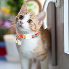 Unique style paws 2 Pack Kitten Collar Breakaway - Image 5