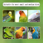 Automatic Acrylic Bird Feeder for Cage, No Mess - Image 4