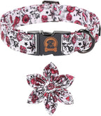 MR. CHUBBYFACE Valentine's Dog Collar by MrChubbyfacePetSupplies