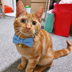 2 Pack Soft Corduroy Cat Collars - Image 7
