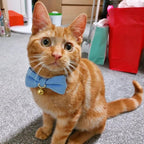 2 Pack Soft Corduroy Cat Collars - Image 4