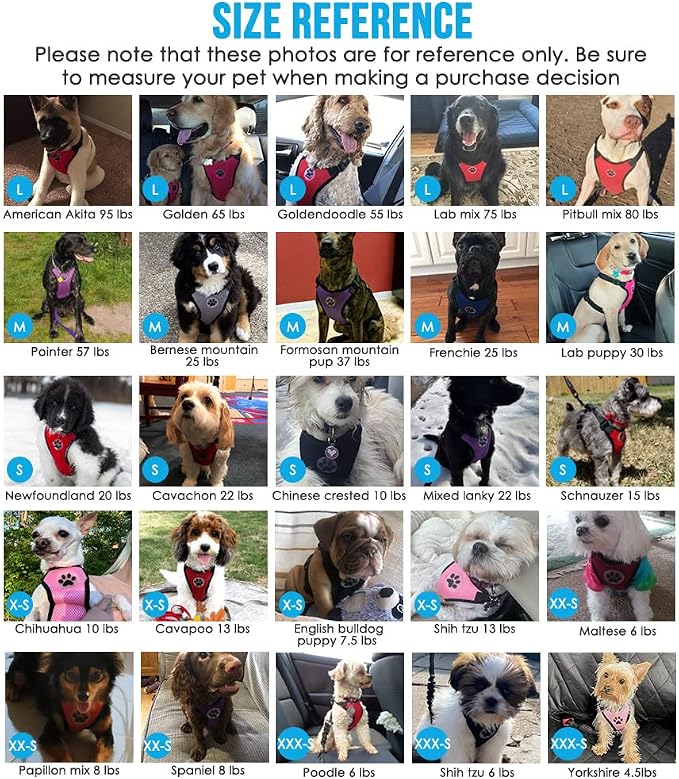 SlowTon Dog Seat Belt Harness for Car, Dog Car Harness Adjustable Mesh - Image 6