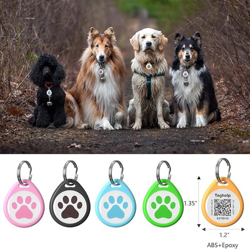 2-Pack -Smart QR Code Pet ID Tag - Image 2