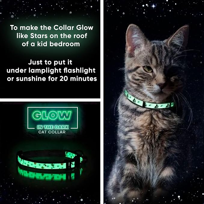 Pawtitas Glow in The Dark Cat Collar - Image 3