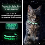 Pawtitas Halloween Cat Collars for Cats Adjustable Collar Glow in The Dark - Image 3