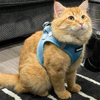 Best Pet Supplies Voyager Step-in Air Harness - Image 8