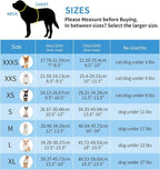 AIITLE Step in Dog Harness and Leash Set - Image 8