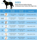 AIITLE Dog Harness, No-Pull Cat Harness - Image 6