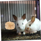 BESPORTBLE 2Pcs Small Bunny Molar Chew - Image 5