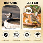 4 Pcs Mini Copper Bath Disk Ornaments Brass Bird Bath Purification Disks - Image 4