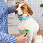 500 Count 20inch Adjustable Paper Dog Collars - Image 4