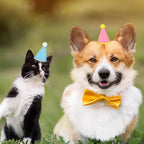 Hxezoc 10 Pcs Mini Birthday Party Hats Multicolor Lovely Crimping Cone Hats - Image 8