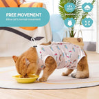 Avont Cat Recovery Suit - Image 3