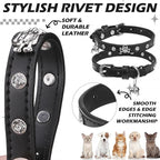 EXPAWLORER Cat Collar for Girl Boy Cats- Adjustable Leather Pet Collar - Image 4