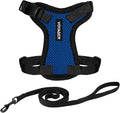 Voyager Escape-Proof Step-In Lock Cat Harness & 5ft Neoprene-Handle Leash Set by BestPetSuppliesLLC
