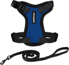 Voyager Escape-Proof Step-in Lock Cat Harness & 5ft Neoprene-Handle Leash Set by BestPetSuppliesLLC